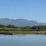 Splendido studio, vista mare, a 5mn dalla spiaggia - Casa ArteVida