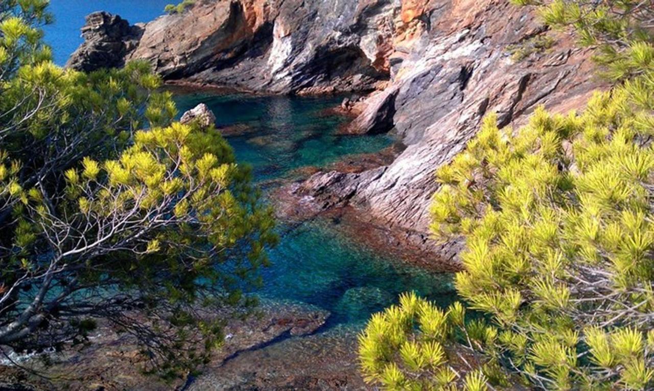 Appartamento Splendido Studio, Vista Mare, A 5mn Dalla - Casa Artevida
